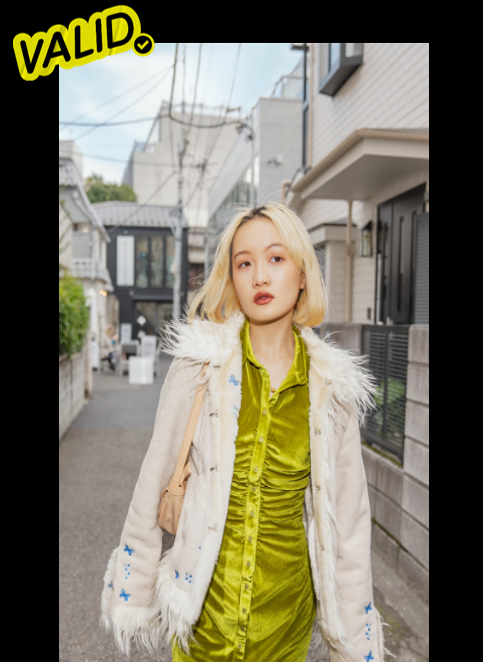 2025 Fashion Playbook Image TikTok SMB